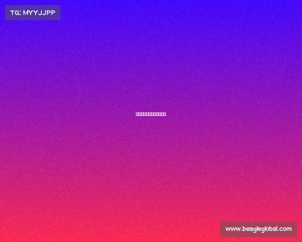 女排联赛香港站回放完整版